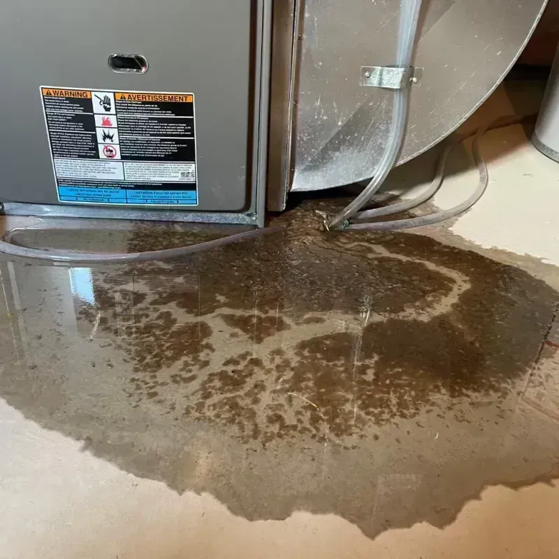 Appliance Leak Cleanup in North Riverside, IL